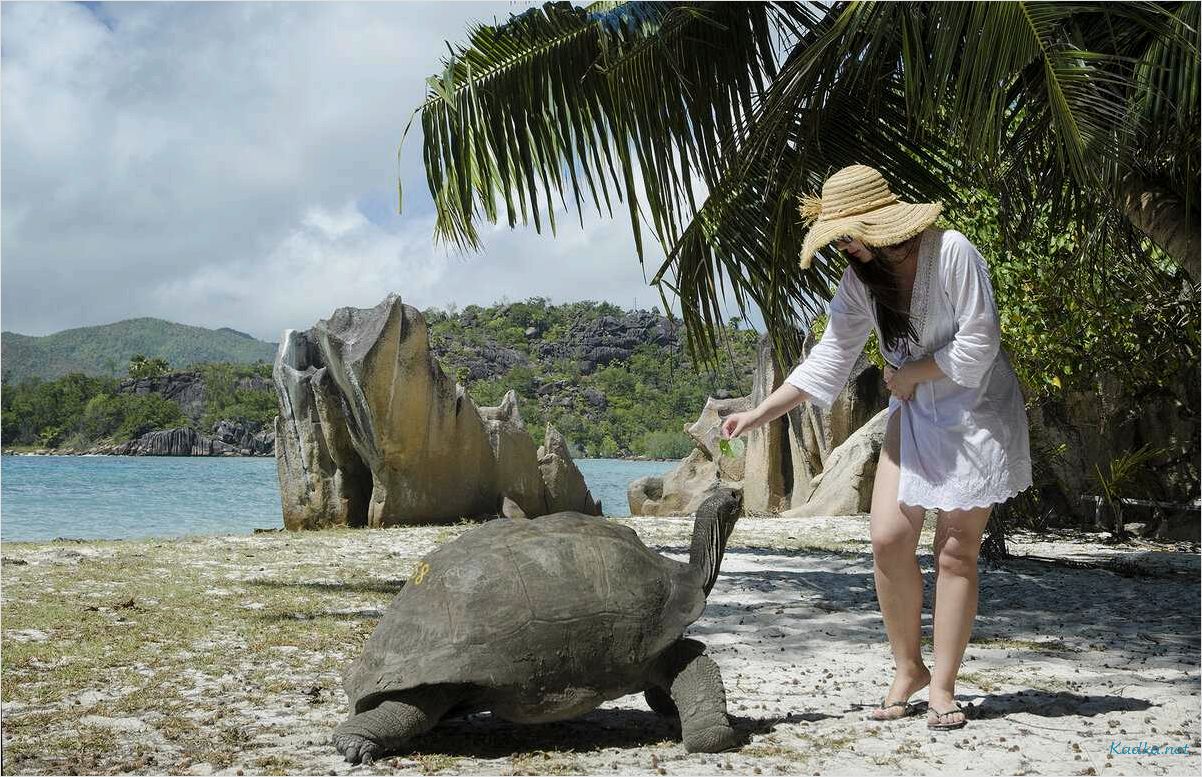 Путешествие на остров Ла-Диг: откройте мир туризма в тропическом раю