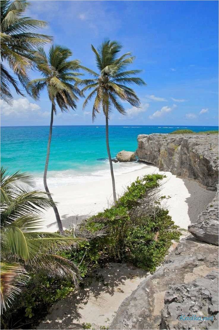 Барбадос — путешествие в райский уголок Карибского моря!