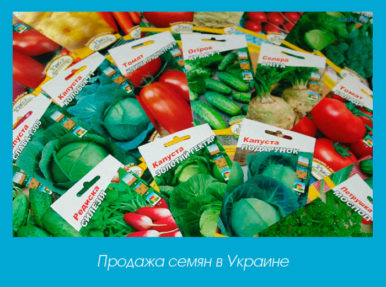 Продажа семян в Украине