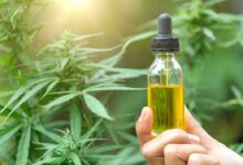 семена конопли от hohlandseeds.com