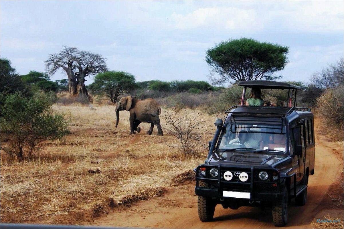 Масаи Мара: откройте для себя красоту Кении в увлекательном путешествии