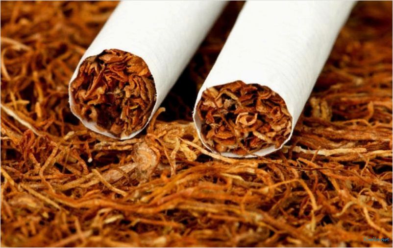 Табак на развес — все, что вам нужно знать о выборе, правильном хранении и использовании