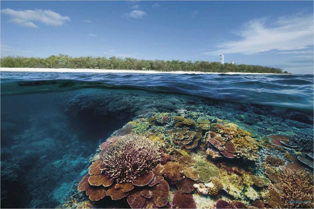 Большой барьерный риф: лучшие места для туризма и путешествий
