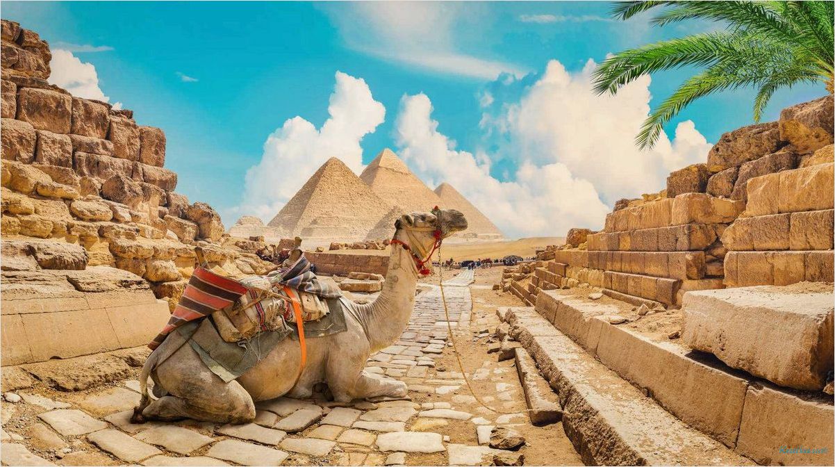 (шарм-эль-шейх, лучшие, места, туризма, путешествий) Шарм-Эль-Шейх: лучшие места для туризма и путешествий